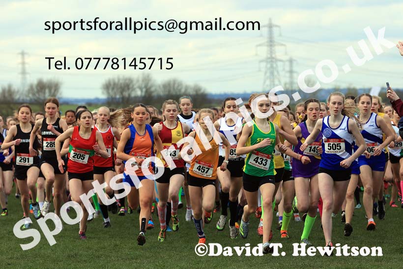 Junior Girls 2024 English Schools Cross Country Champs., Pontefract, March 16th.  Photo: David T. Hewitson/Sports for All Pics